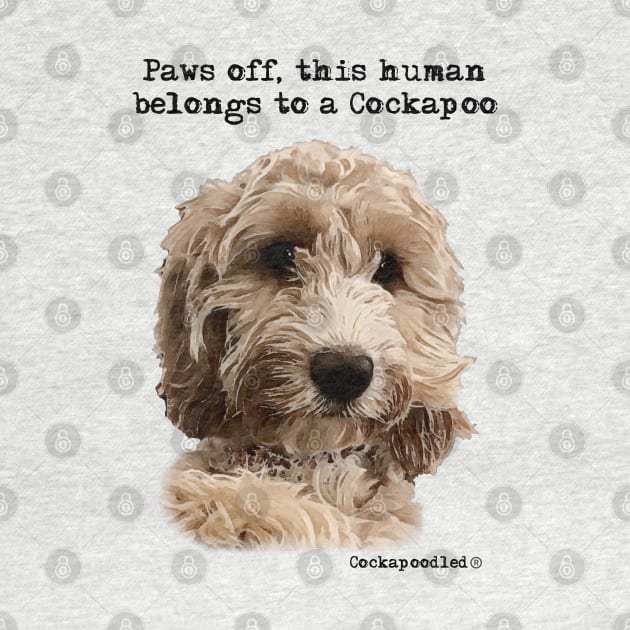 Cockapoo Dog by WoofnDoodle 